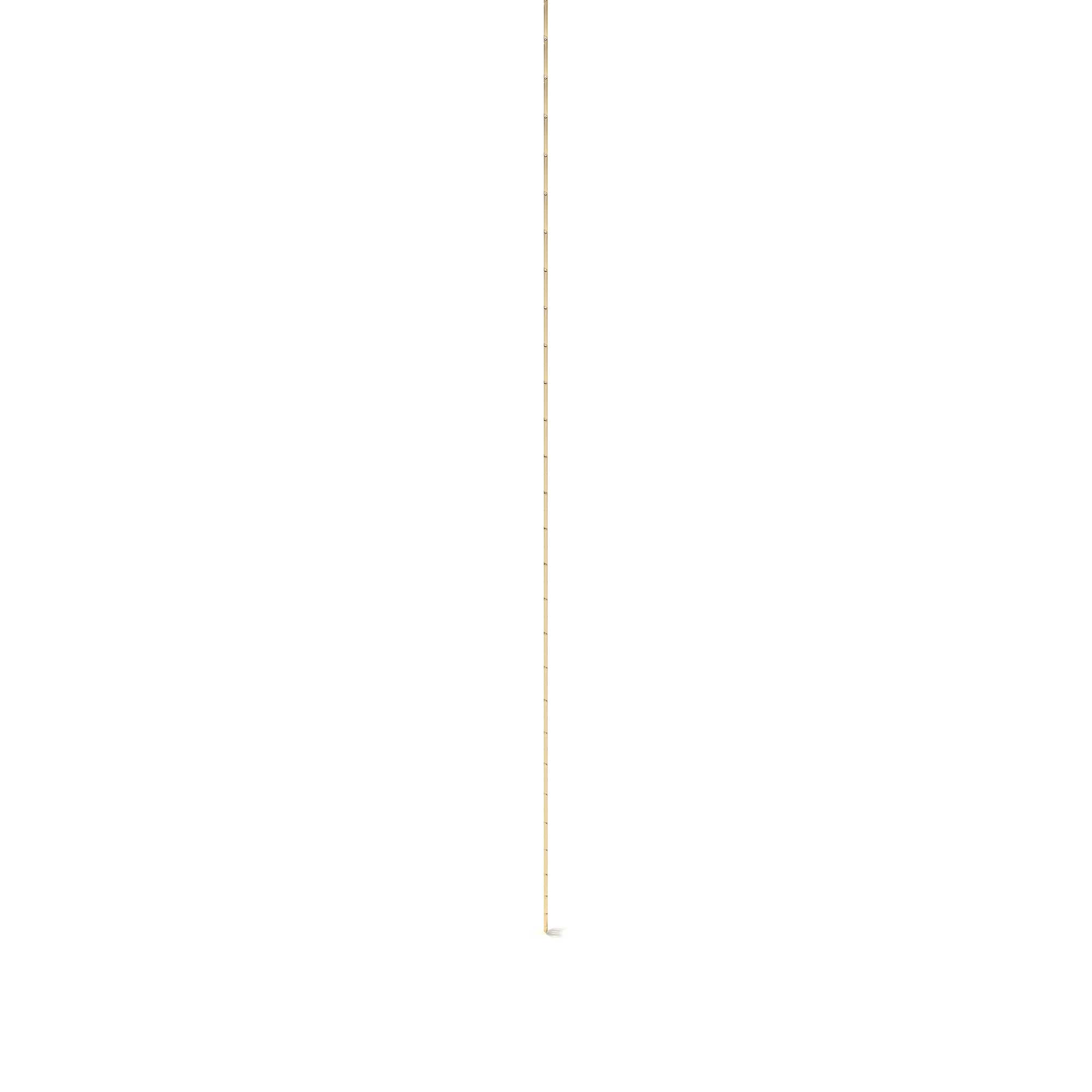 Cadena de Oro 10K Valentino 55cm | Collar de Oro Italiano 2.3mm con Broche de Argolla | Joyería Fina